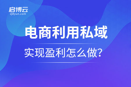 電商利用私域?qū)崿F(xiàn)盈利應該怎么做？
