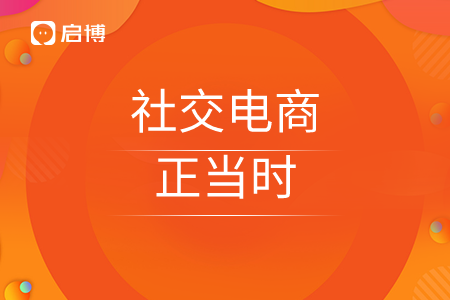 社交電商正當時