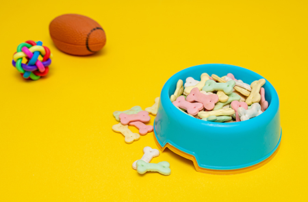 1593676954200172.jpg 寵物.jpg